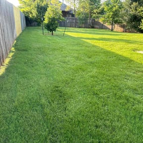 yard care by Julian and Sons lawncare reviewed on August 17, 2025