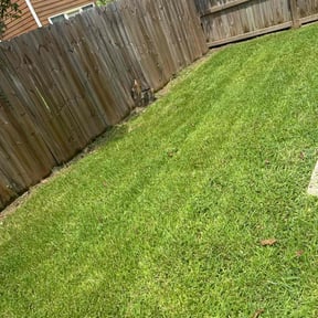 lawn maintenance by Flat Rock Landscaping and More reviewed on May 6, 2024