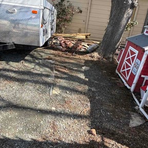 Leaf Removal by Héctor Lawn and Tree reviewed on March 17, 2026