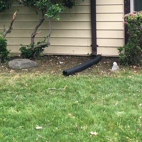 Flower Bed Weeding by Restore Industrial reviewed on August 19, 2025