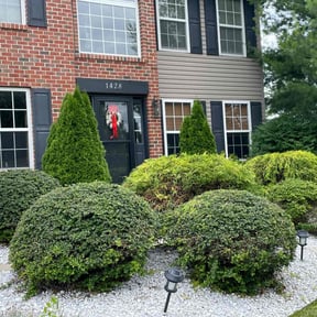 Bush Trimming by Danzey junk removal Moving & More LLC reviewed on August 17, 2025