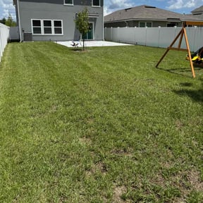 yard service by Cuttin up the coast reviewed on November 29, 2025