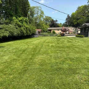 lawn care by VSL Lawn Service reviewed on August 16, 2025