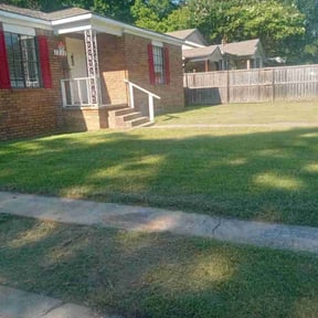 grass maintenance by Tony Top-Notch Mowing reviewed on July 17, 2025