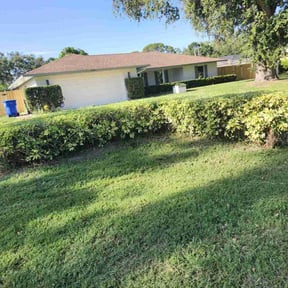 Bush Trimming by TruQuality Outdoor Maintenance & Lanscaping reviewed on August 16, 2025