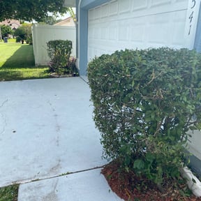 Bush Trimming by JACKSON Lawn Care reviewed on August 15, 2025