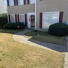 Bush Trimming by MY LANDSCAPER reviewed on August 21, 2025
