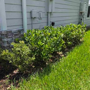 Flower Bed Weeding by XPRESS LAWN CARE reviewed on November 24, 2025