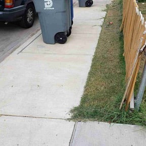 Bush Trimming by Right On Time services reviewed on August 18, 2025