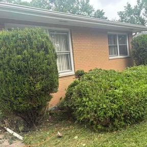 Bush Trimming by REMAVAIL PRO LAWN reviewed on August 19, 2026