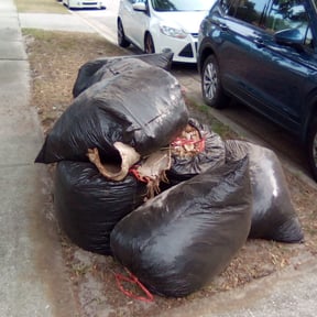 Leaf Removal by JOE&amp;jojo lawn service reviewed on September 6, 2025