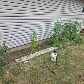 Flower Bed Weeding by Mejias Landscaping reviewed on August 17, 2026