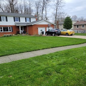 yard care by Jose&Jose Landscaping reviewed on August 18, 2025