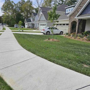 yard care by Zay's Lawn Service reviewed on August 17, 2025