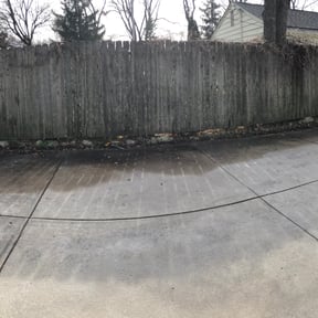 Leaf Removal by Tembo Cleaning reviewed on August 20, 2025