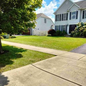 yard care by Love Your Lawn reviewed on August 21, 2025