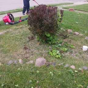 Bush Trimming by Chuyin's Lawn Care LLC reviewed on August 20, 2025