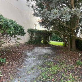 Bush Trimming by Smiley's Landscaping LLC reviewed on November 19, 2025