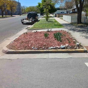 Flower Bed Weeding by Precision Cuts Lawn Care reviewed on August 20, 2025