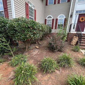 Bush Trimming by Danny's lawn service reviewed on August 19, 2025
