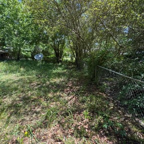 Bush Trimming by Family Lawn Care reviewed on August 19, 2025