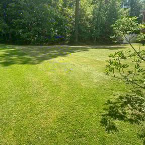 lawn service by Cunningham's Lawn Care reviewed on August 19, 2025