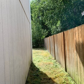 Bush Trimming by Express Innovations reviewed on August 17, 2025