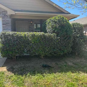 Bush Trimming by CM Mowing reviewed on April 2, 2026