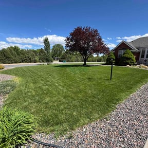 landscape maintenance by Ford year-round Lawn Service reviewed on August 17, 2025