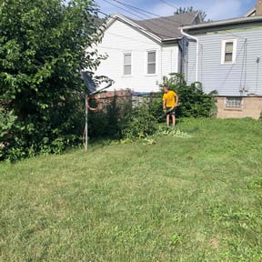 Bush Trimming by Tim's Affordable Lawncare reviewed on August 21, 2025