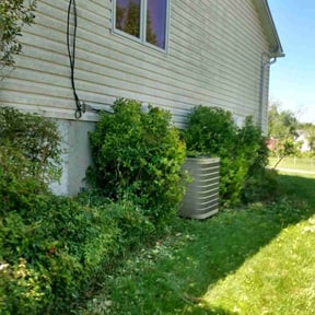 Bush Trimming by Redline Property Maintenance (RPM) reviewed on August 18, 2025