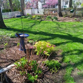 yard work by Green T's Lawn & Landscape reviewed on August 20, 2025