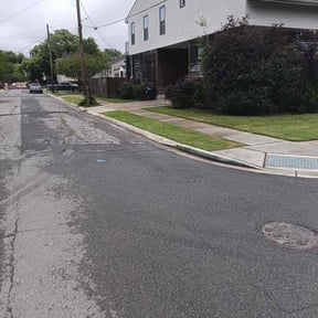 Bush Trimming by Athena's Lawn Solutions reviewed on April 7, 2026