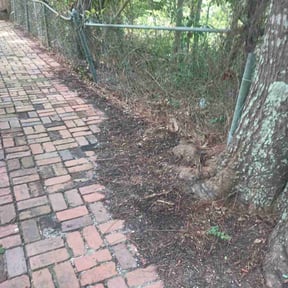 Leaf Removal by Fort Worth Lawn &amp; Landscaping reviewed on November 24, 2025