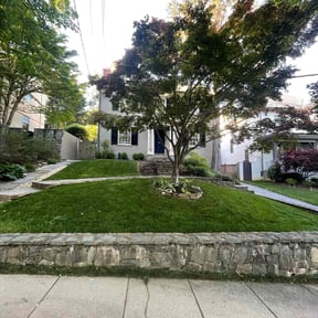yard work by Revival Landscaping Pittsburgh reviewed on August 13, 2025