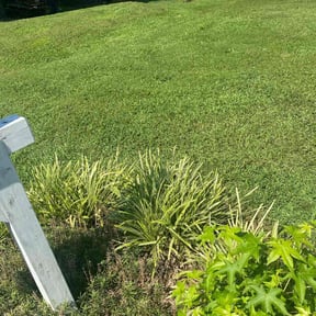 lawn care services by Grass Care By the Beach reviewed on November 7, 2023