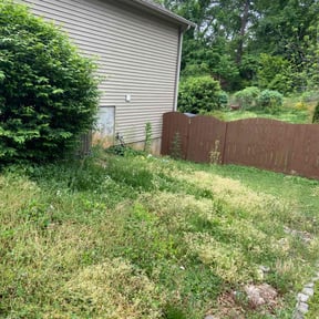 Bush Trimming by Snell mowing reviewed on August 21, 2025