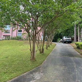 lawn care by R&amp;B Lawncare reviewed on August 21, 2025