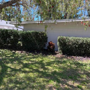 Bush Trimming by Supreme Home Services reviewed on August 18, 2025
