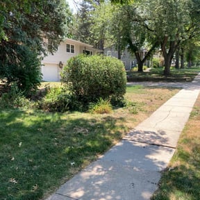 Bush Trimming by Chek'Rd Lawn Service reviewed on August 18, 2025