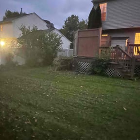 Bush Trimming by Moore lawn care reviewed on August 19, 2025
