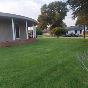 yard service by Fortanel lanscaping reviewed on August 21, 2025