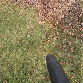 Leaf Removal by Landscrape co reviewed on December 12, 2025