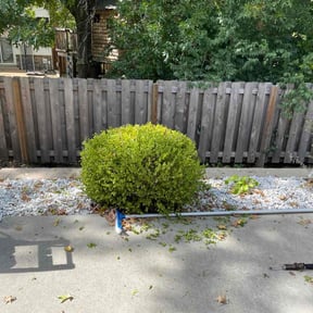 Bush Trimming by LaPriest Blocker reviewed on August 19, 2025