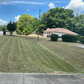 Bush Trimming by Ausmus Gardencare reviewed on August 13, 2025
