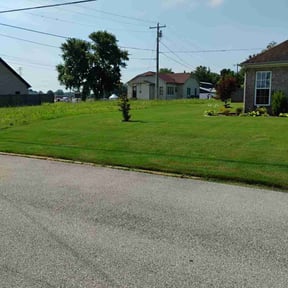 yard work by Rose Lawn and Landscape, LLC reviewed on August 21, 2025