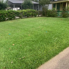lawn care by Triple Crown Services and Landscaping LLC reviewed on August 19, 2025