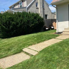 yard care by Charles and Carmen Landscapes LLC reviewed on August 21, 2025