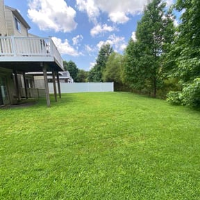 yard care by Picture Perfect Property Maintanence LLC reviewed on August 15, 2025