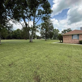 landscaping by Lawncare Genius reviewed on August 16, 2025